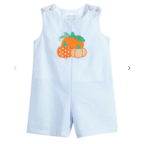 Cactus Other - NWT Lil Cactus Blue Seersucker Pumpkin Shortalls 2T